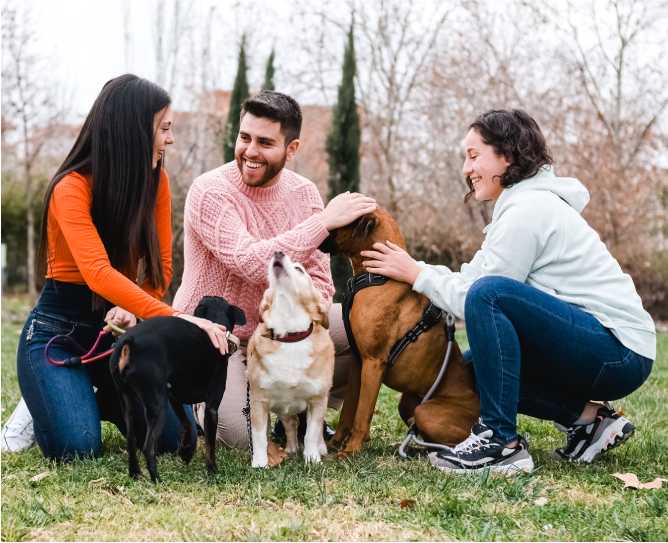 shutterstock_2132259743